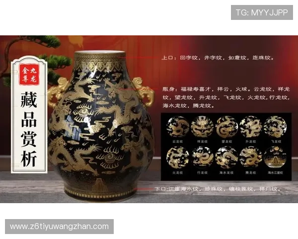 中国尊龙集团全面介绍其企业发展历程与核心业务布局分析