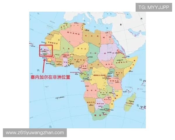 世界杯法国塞内加尔比赛前景分析:赛果预测、战术布局与比赛看点